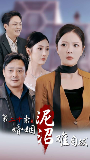 第二十条之婚姻沼泽难自拔（31集）演员表