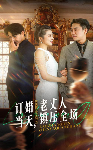 订婚当天，老丈人镇压全场（29集）第一集