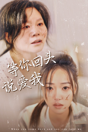 等你回头说爱我（87集）经典老剧免费看