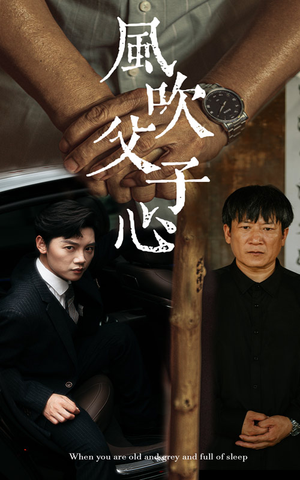 风吹父子心（65集）在哪看免费