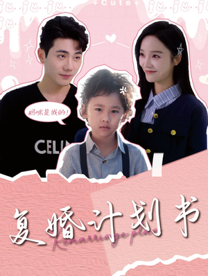 复婚计划书（96集）短剧免费观看