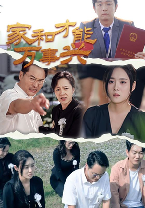 家和才能万事兴（30集）口碑爆棚免费看