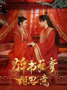 锦书难寄相思意（97集）网络小短剧