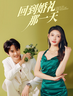 回到婚礼那一天（88集）解说文案