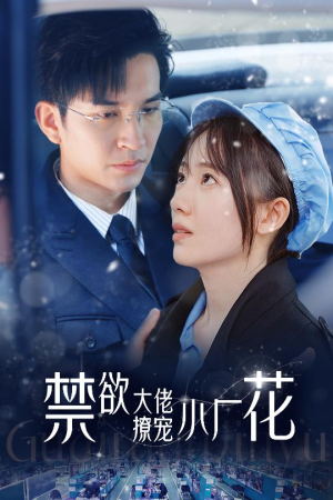 小可怜靠生子宠冠电子厂（54集）1-102集