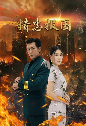精忠报国（61集）全集