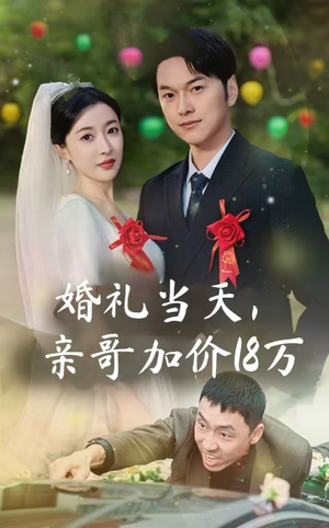 婚礼当天，亲哥加价18万（36集）好看短剧追不停