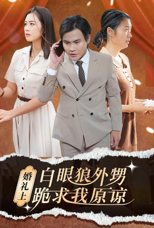 婚礼上白眼狼外甥跪求我原谅（35集）短剧全集抢先看