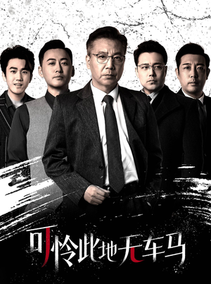 可怜此地无车马（30集）精彩短剧推荐
