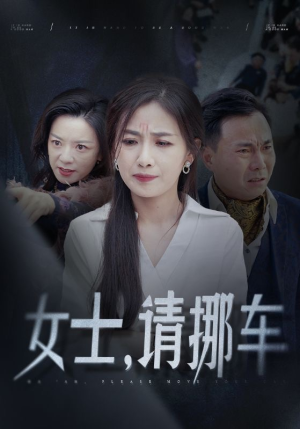 女士请挪车（29集）百度网盘在线看