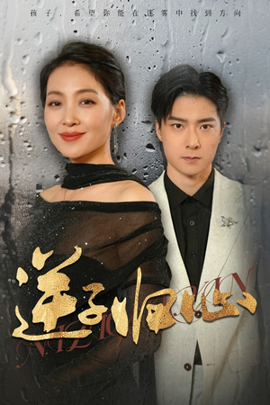 逆子归心（31集）观看软件