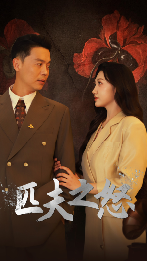 匹夫之怒（48集）在哪看