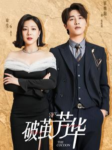 破茧芳华（80集）在哪看免费