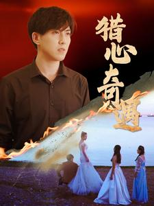 猎心奇遇（91集）高清画质免费看