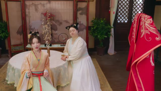 俏红娘（24集）精彩短剧分享