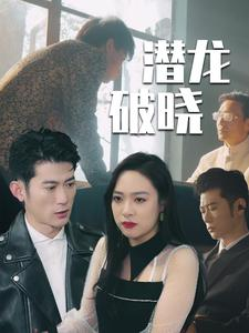 潜龙破晓（88集）好看短剧抢先看