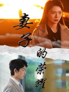 妻子的荣耀（40集）在线观看完整版