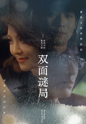 双面谜局（44集）迅雷网盘观看