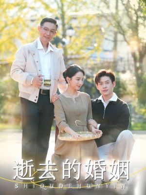 逝去的婚姻（60集）热门短剧在线看