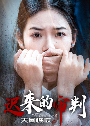天网恢恢之迟来的审判（31集）追短剧关注我