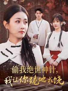 偷我绝世神针，我让你跪地求饶（30集）高清画质免费看