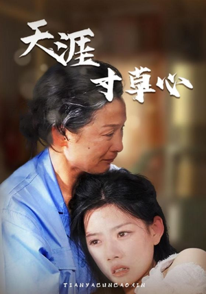 天涯寸草心（76集）全集免费观看