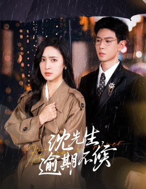沈先生，逾期不候（75集）全集我都看完了