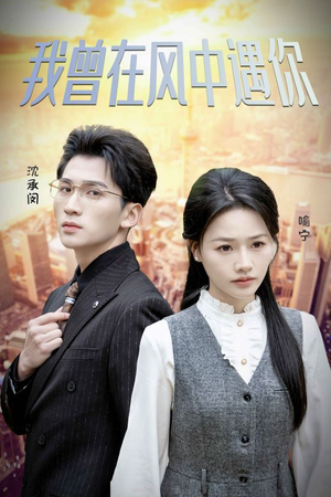 我曾在风中遇你（30集）短剧抢先看全集