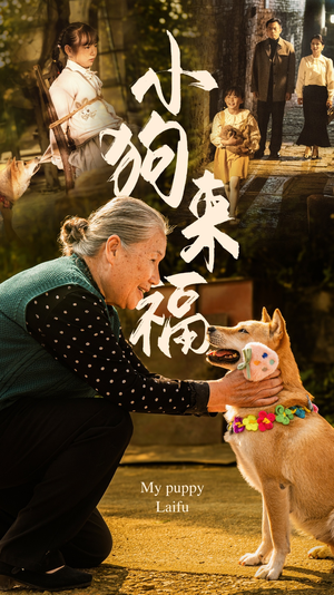 小狗来福（30集）短剧分享剧集