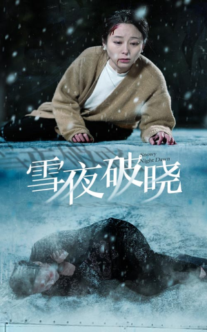 雪夜破晓（36集）无需会员轻松看