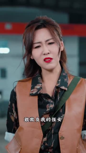 宗师（60集）一共多少集