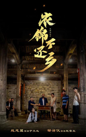 衣锦不还乡（69集）抢先看热门短剧