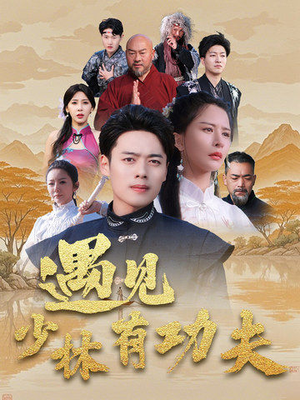 遇见少林有功夫（36集）独家资源免费看