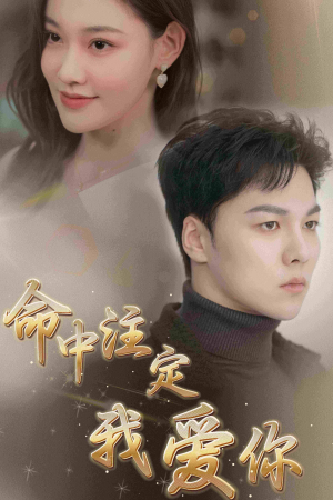 命中注定我爱你（75集）短剧抢先看全集