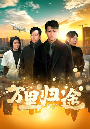 万里归途（70集）短剧看全集