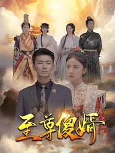 至尊傻婿（82集）在线观看全集