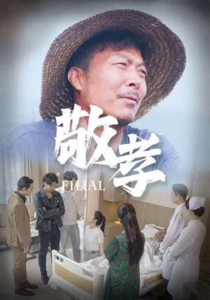 敬孝（61集）直接看到大结局
