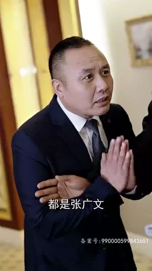 天下第二 （100集）常回家看看短剧