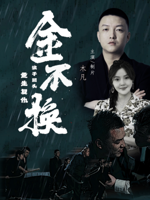 金不换（32集）免费看