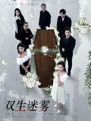双生迷雾（80集）一共多少集