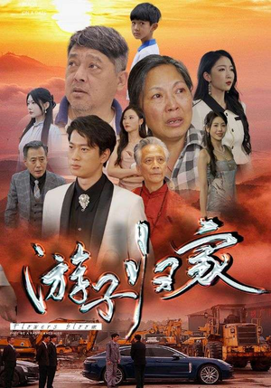 游子归家（88集）熬夜追短剧