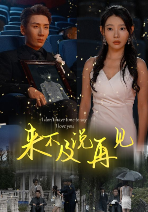 来不及说再见（30集）短剧精彩片段