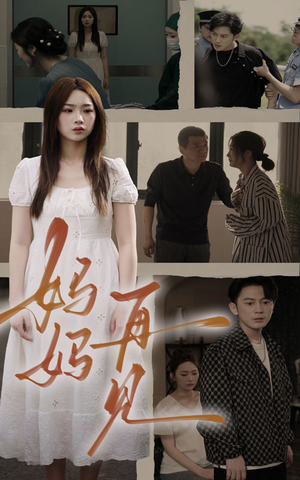妈妈，再见（28集）高分佳作免费看