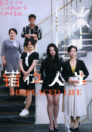 错位人生（89集）超火热门短剧