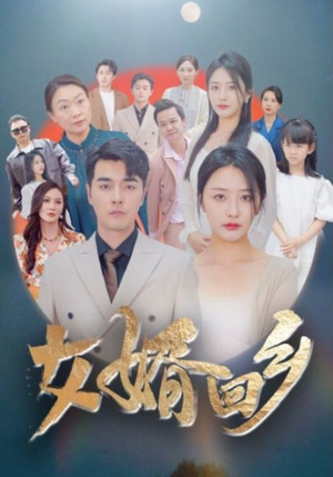 女婿回乡（120集）看短剧放松一下