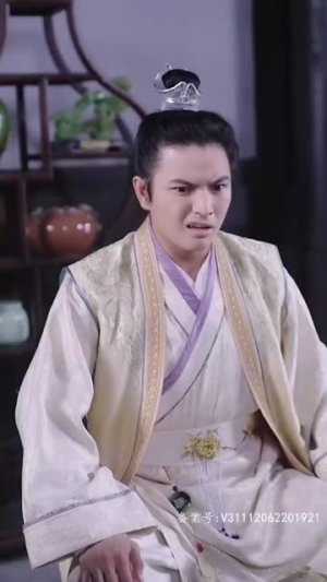 大宋小郎君（92集）免费在线看