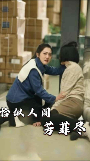 恰似人间芳菲尽（68集）短剧全集大结局