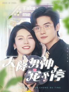 天降男神宠不停（100集）热门短剧来袭