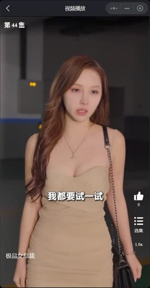 我的富豪美女总裁（我的极品女总裁）热门了短剧