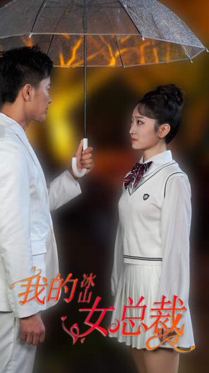 新版：我的冰山女总裁（78集）独家资源免费看